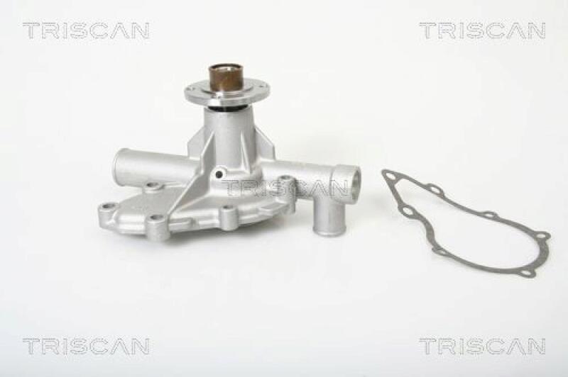 TRISCAN Wasserpumpe 8600 11025