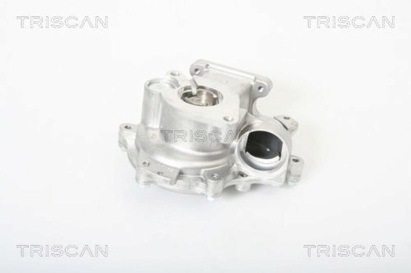 TRISCAN Water Pump