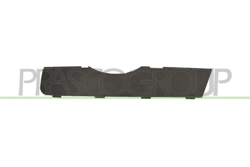 Trim/Protective Strip, radiator grille