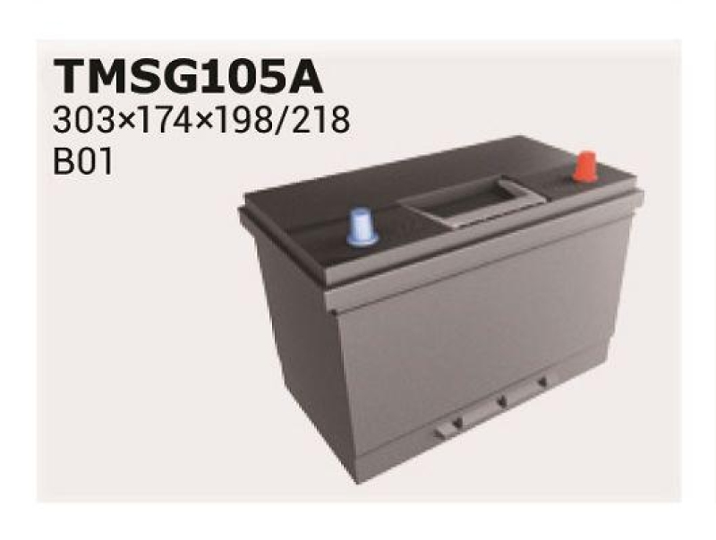 IPSA Starterbatterie Stop&Go EFB
