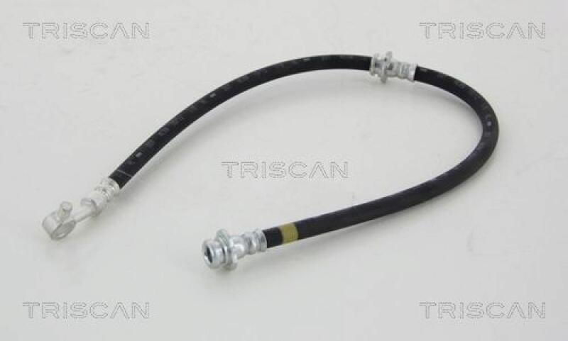 TRISCAN Bremsschlauch 8150 14169