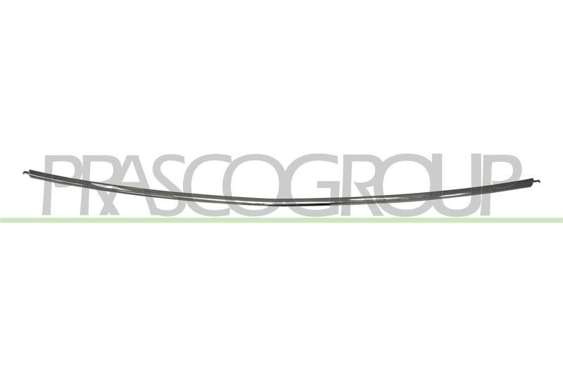 PRASCO Zier-/Schutzleiste, Stoßfänger