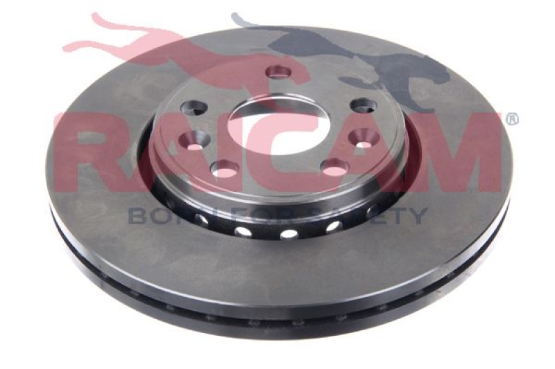 2x RAICAM Brake Disc