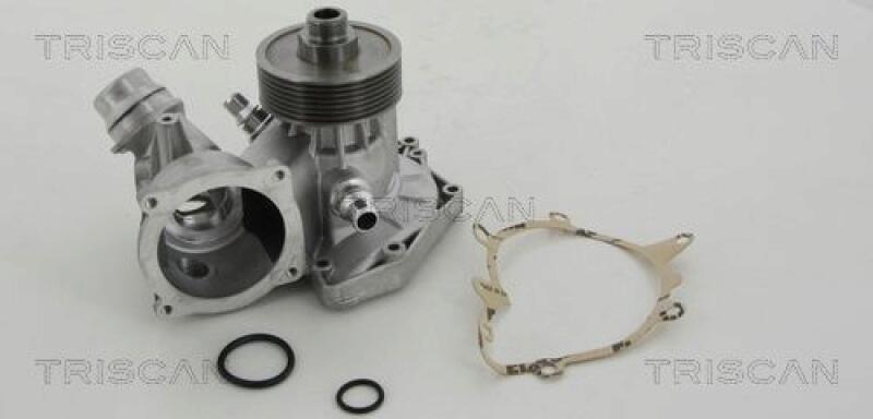 TRISCAN Wasserpumpe 8600 11031