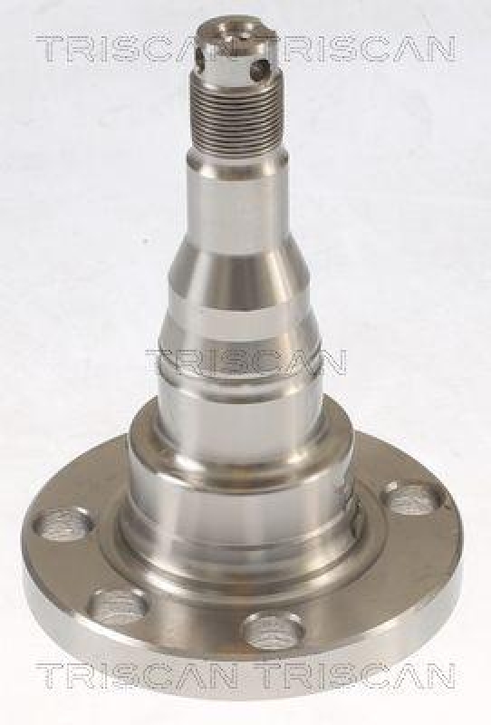 TRISCAN Wheel Hub