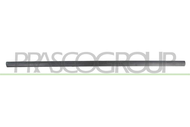 PRASCO Zier-/Schutzleiste, Tür