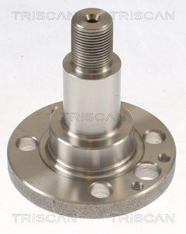 TRISCAN Wheel Hub