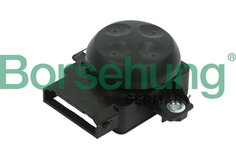 Borsehung Control, seat adjustment