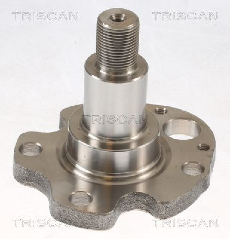 TRISCAN Wheel Hub