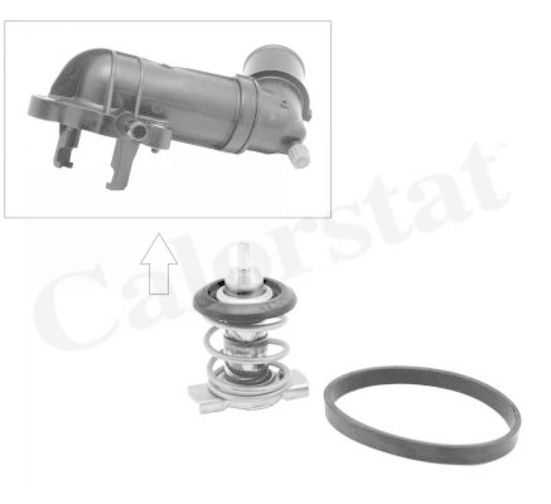 CALORSTAT by Vernet Thermostat, coolant