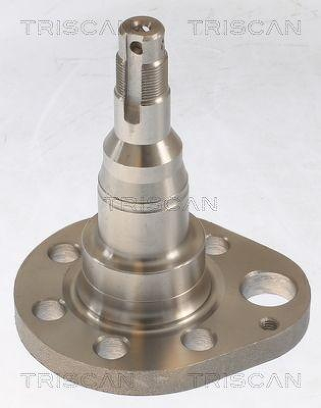 TRISCAN Wheel Hub