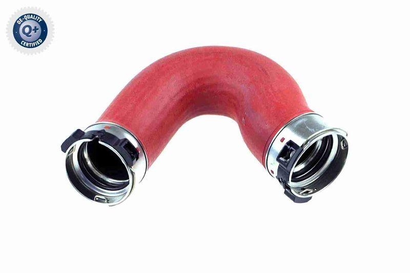 VAICO Charger Air Hose Q+, original equipment manufacturer quality