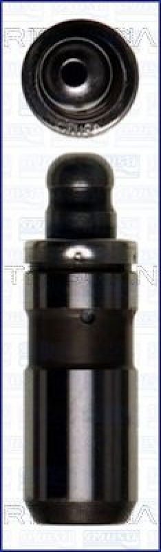 TRISCAN Tappet
