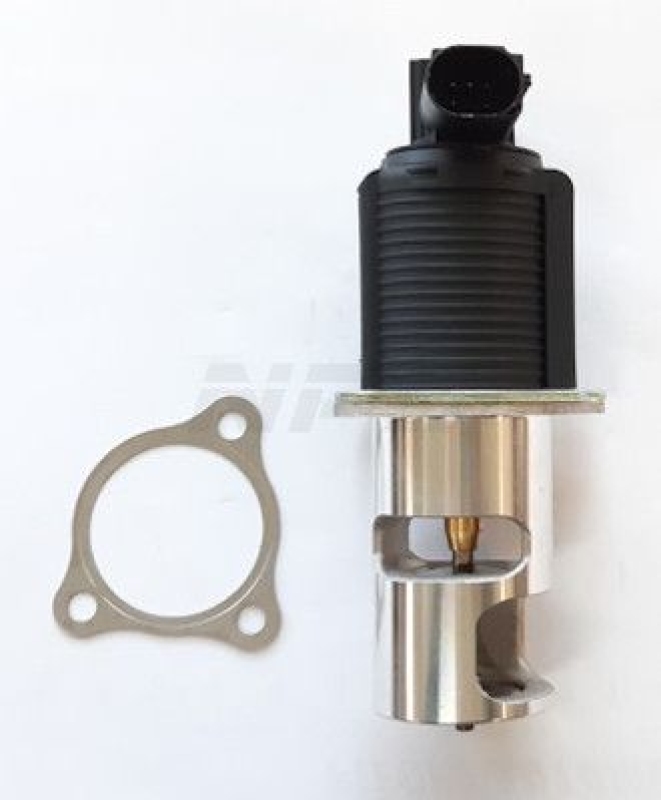 NPS EGR Valve