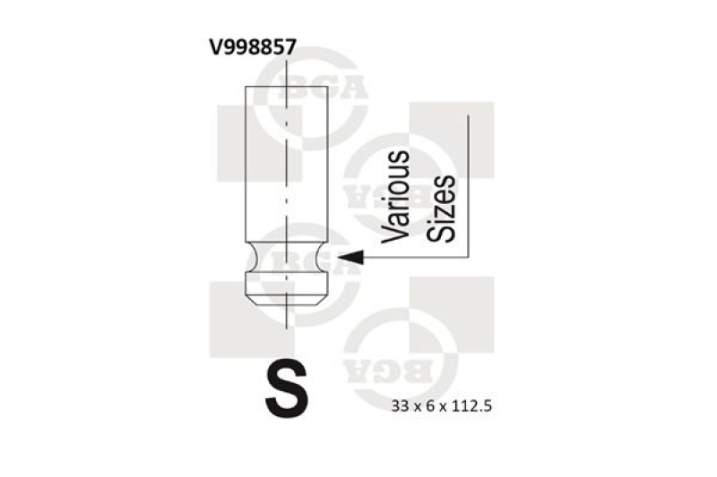 BGA Einlassventil V998857