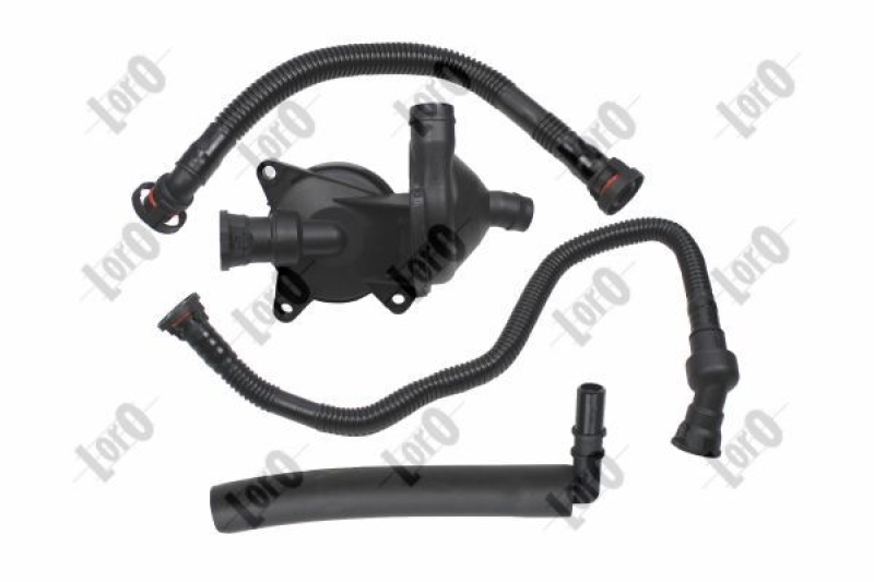 Hose, crankcase ventilation