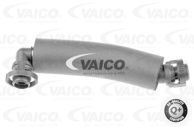 VAICO Hose, crankcase breather Q+, original equipment manufacturer quality