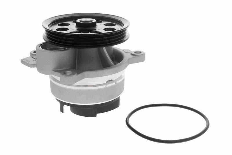 VAICO Wasserpumpe, Motorkühlung Green Mobility Parts