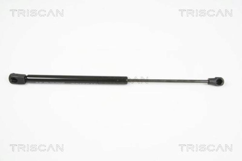 TRISCAN Gasfeder, Heckscheibe