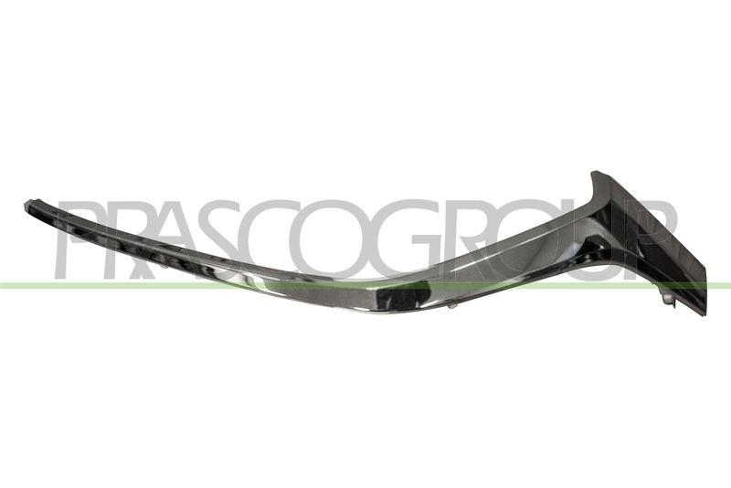 Trim/Protective Strip, radiator grille