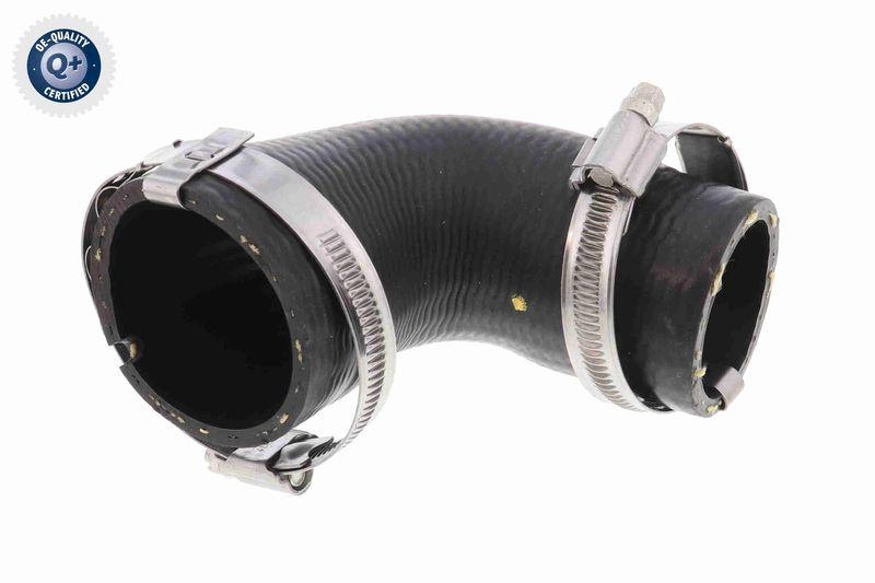 VAICO Charger Air Hose Q+, original equipment manufacturer quality