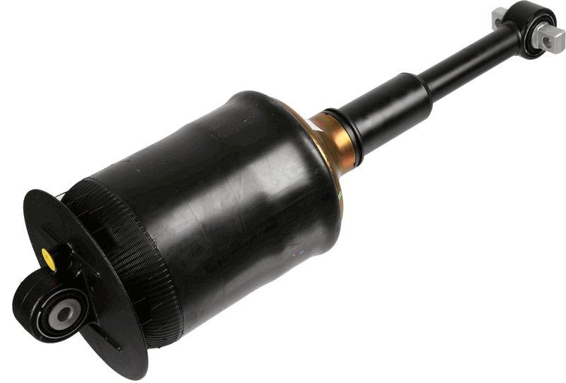 SACHS Shock Absorber