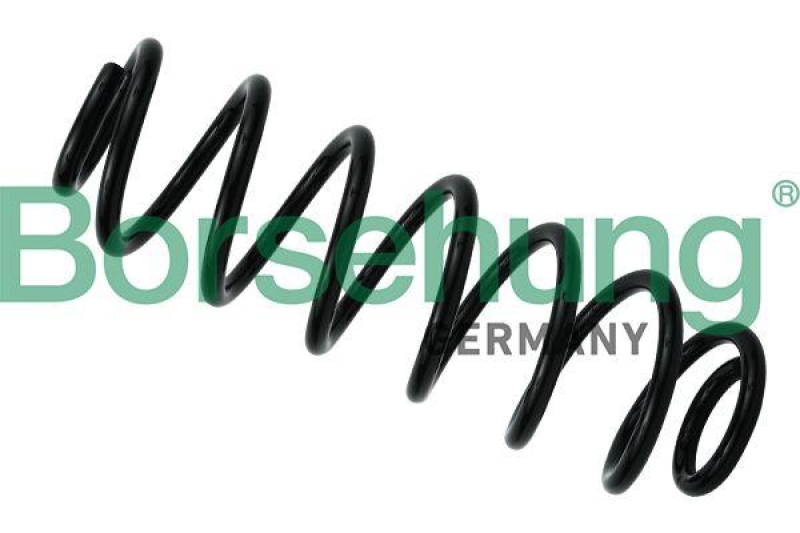 Borsehung Suspension Spring