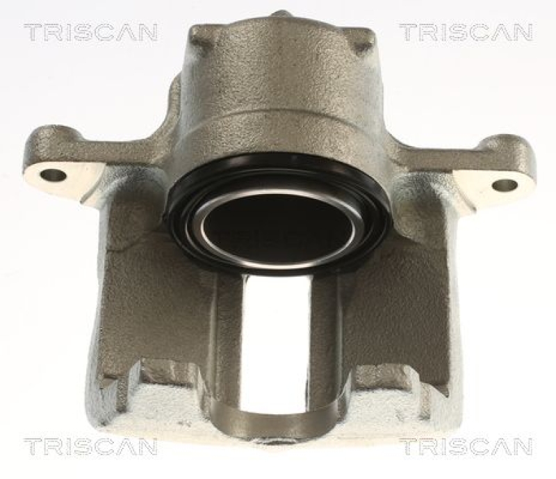 TRISCAN Bremssattel