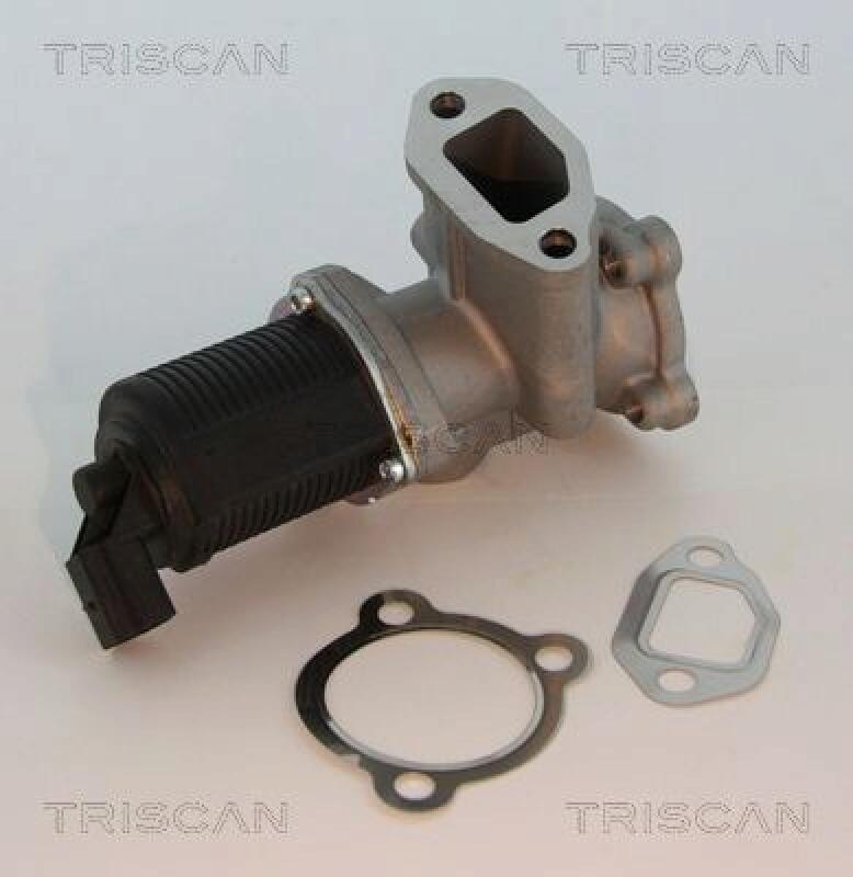 TRISCAN EGR Valve