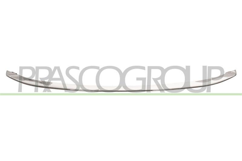 Trim/Protective Strip, bumper