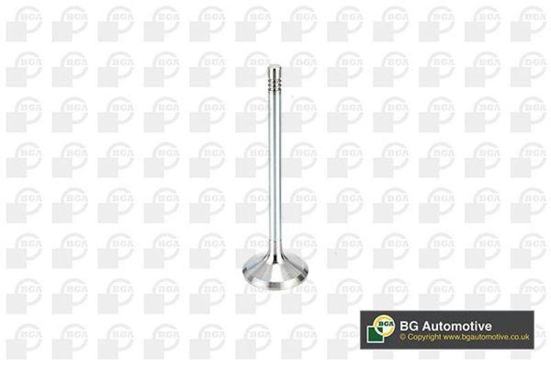 BGA Einlassventil V998912