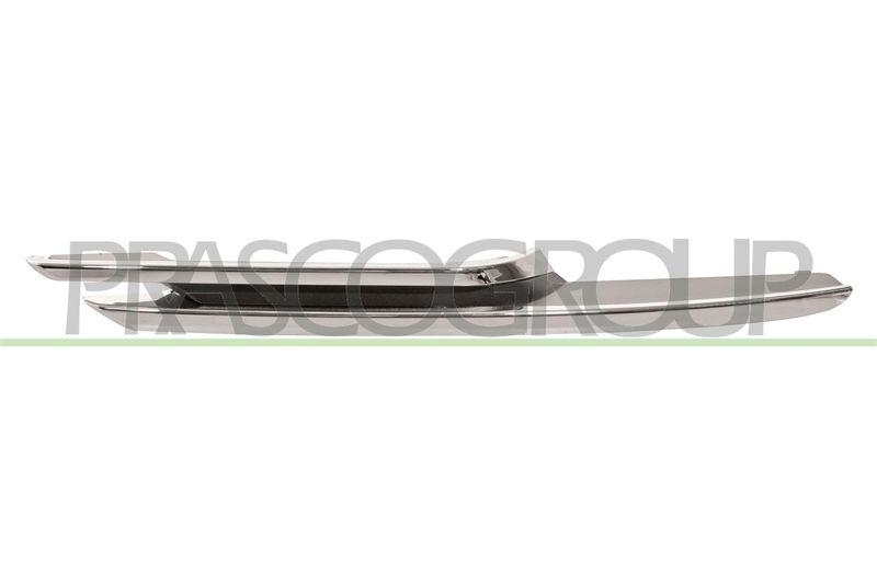 Trim/Protective Strip, bumper