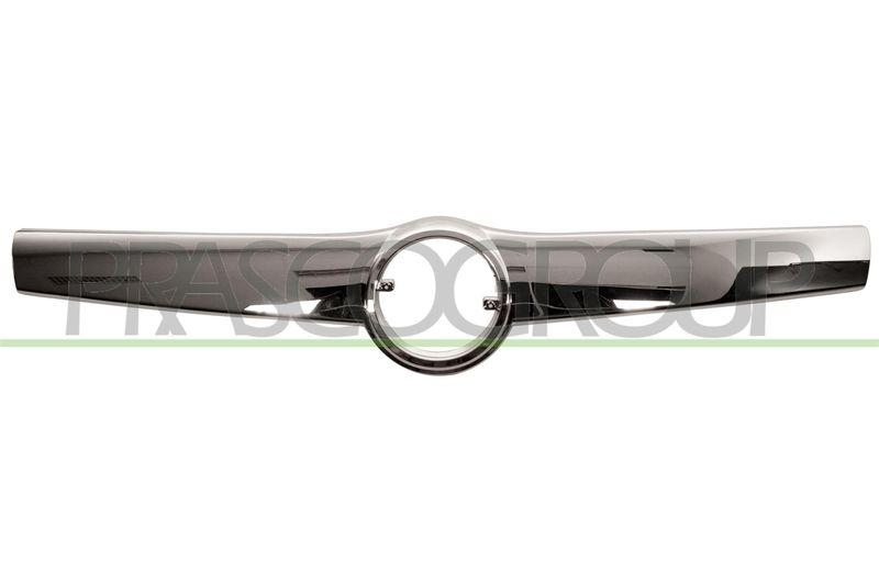 Trim/Protective Strip, radiator grille