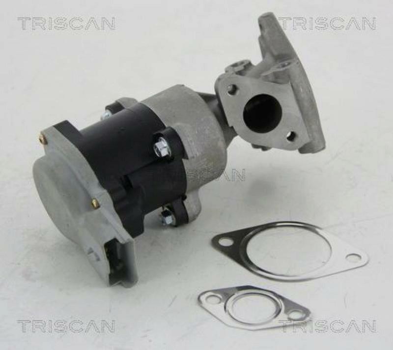 TRISCAN EGR Valve