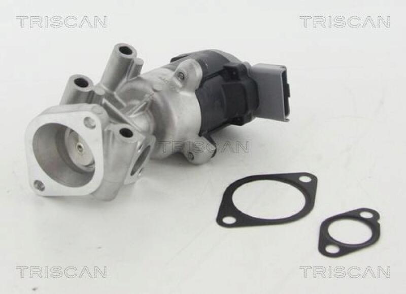 TRISCAN AGR-Ventil 8813 10009