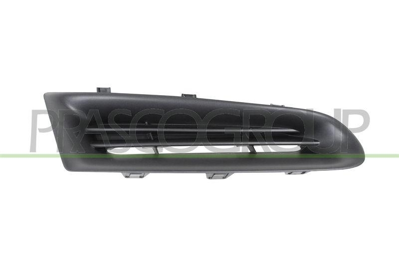 Radiator Grille Premium