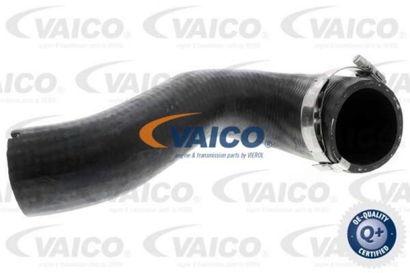 VAICO Charger Air Hose Q+, original equipment manufacturer quality