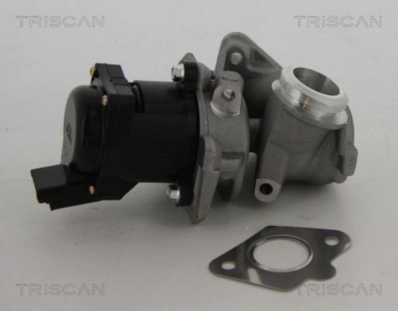 TRISCAN AGR-Ventil 8813 10010