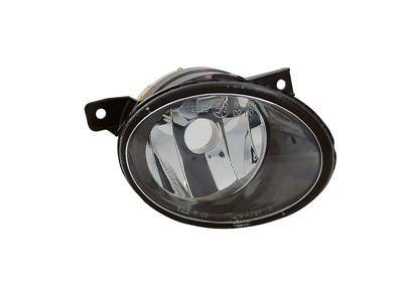 VAN WEZEL Fog Light