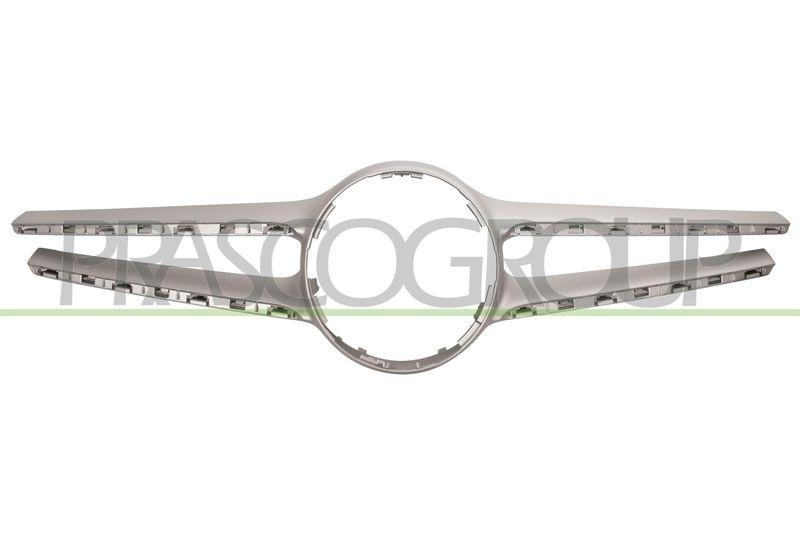 Trim/Protective Strip, radiator grille