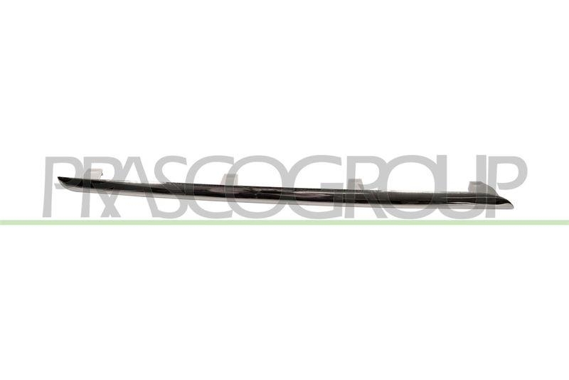 Trim/Protective Strip, radiator grille