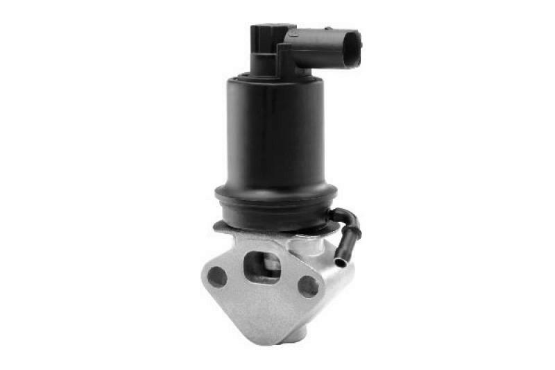 BorgWarner (Wahler) EGR Valve