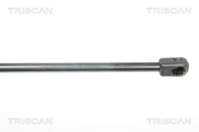 TRISCAN Gasfeder, Koffer-/Laderaum 8710 25244