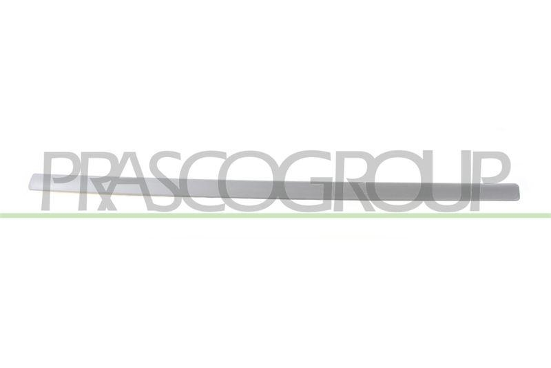 PRASCO Zier-/Schutzleiste, Tür