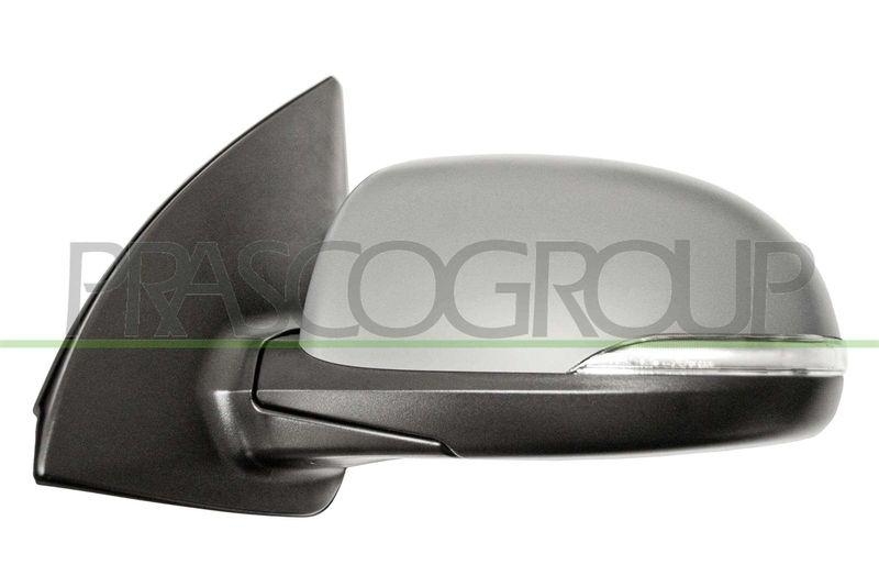 Outside Mirror Premium