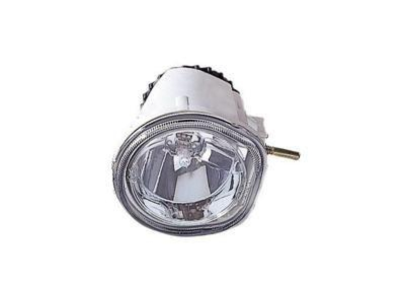 VAN WEZEL Fog Light