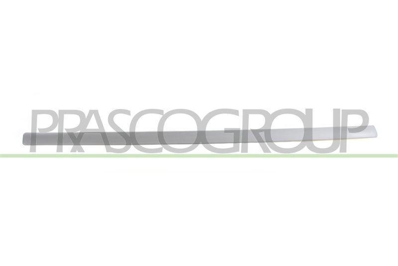 PRASCO Zier-/Schutzleiste, Tür