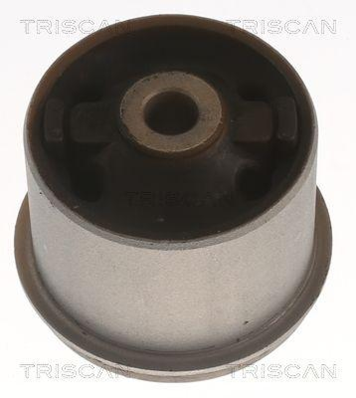 TRISCAN Lagerung, Achsk&ouml;rper