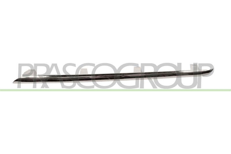 Trim/Protective Strip, radiator grille
