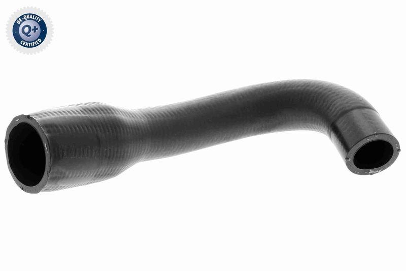 VAICO Charger Air Hose Q+, original equipment manufacturer quality